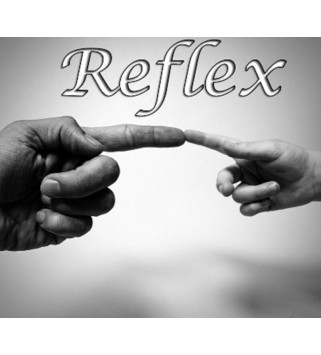 RefleX Steam Key GLOBAL